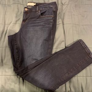 Straight leg Jeans from Torrid